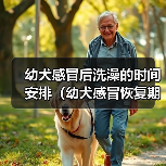 幼犬感冒后洗澡的时间安排(幼犬感冒恢复期如何正确洗澡?)(图4) 幼犬感冒后洗澡的时间安排(幼犬感冒恢复期如何正确洗澡?)(图4)