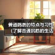 普通鹦鹉的特点与习性（了解普通鹦鹉的生活习性和特点，与其建立深入的联系）（图2）