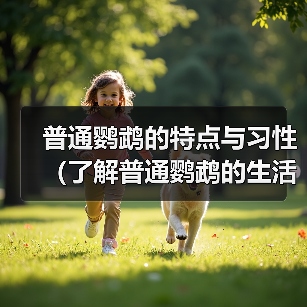 普通鹦鹉的特点与习性（了解普通鹦鹉的生活习性和特点，与其建立深入的联系）（图3）