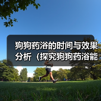 狗狗药浴的时间与效果分析（探究狗狗药浴能在多长时间内见效，）（图1）