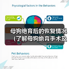母狗绝育后的恢复情况（了解母狗绝育手术及恢复时间，让你放心养宠物）（图2）
