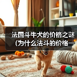 法国斗牛犬的价格之谜（为什么法斗的价格一直这么贵？）（图1）