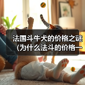 法国斗牛犬的价格之谜（为什么法斗的价格一直这么贵？）（图3）
