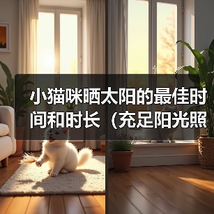 小猫咪晒太阳的最佳时间和时长（充足阳光照射对小猫咪健康的重要性）（图4）