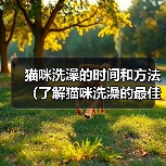 猫咪洗澡的时间和方法(了解猫咪洗澡的最佳时间和正确的洗澡方法)(图1) 猫咪洗澡的时间和方法(了解猫咪洗澡的最佳时间和正确的洗澡方法)(图1)
