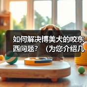 如何解决博美犬的咬东西问题？（为您介绍几种方法和技巧，让您的宠物停止咬东西。）（图1）