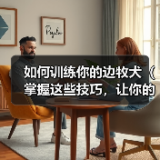 如何训练你的边牧犬（掌握这些技巧，让你的宠物成为听从你指挥的好狗狗）（图1）
