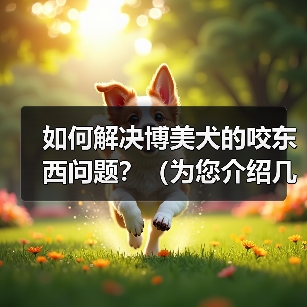 如何解决博美犬的咬东西问题？（为您介绍几种方法和技巧，让您的宠物停止咬东西。）（图3）