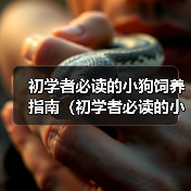 初学者必读的小狗饲养指南（初学者必读的小狗饲养指南）（图2）