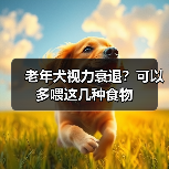 老年犬视力衰退?可以多喂这几种食物(图2) 老年犬视力衰退?可以多喂这几种食物(图2)