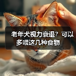 老年犬视力衰退?可以多喂这几种食物(图3) 老年犬视力衰退?可以多喂这几种食物(图3)