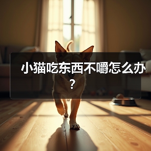 小猫吃东西不嚼怎么办?(图4) 小猫吃东西不嚼怎么办?(图4)