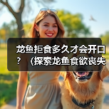 龙鱼拒食多久才会开口？（探索龙鱼食欲丧失的时间界限）（图1）