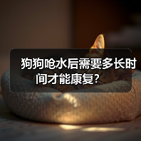 狗狗呛水后需要多长时间才能康复？（图1）