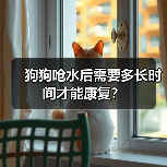狗狗呛水后需要多长时间才能康复？（图2）