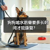 狗狗呛水后需要多长时间才能康复？（图4）