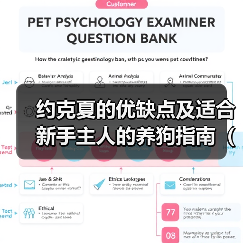 约克夏的优缺点及适合新手主人的养狗指南（了解约克夏的特点和适应性，为新手主人提供合适的养狗建议）（图2）