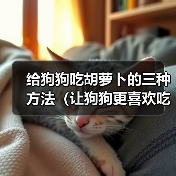 给狗狗吃胡萝卜的三种方法(让狗狗更喜欢吃胡萝卜的小窍门)(图4) 给狗狗吃胡萝卜的三种方法(让狗狗更喜欢吃胡萝卜的小窍门)(图4)