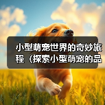 小型萌宠世界的奇妙旅程(探索小型萌宠的品种多样性与可爱魅力)(图3) 小型萌宠世界的奇妙旅程(探索小型萌宠的品种多样性与可爱魅力)(图3)