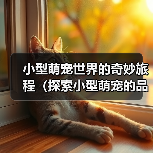 小型萌宠世界的奇妙旅程(探索小型萌宠的品种多样性与可爱魅力)(图2) 小型萌宠世界的奇妙旅程(探索小型萌宠的品种多样性与可爱魅力)(图2)