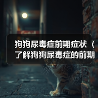 狗狗尿毒症前期症状（了解狗狗尿毒症的前期症状，及时保护它的肾脏健康）（图1）