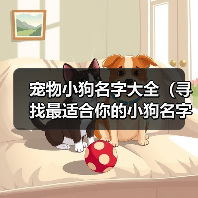 宠物小狗名字大全(寻找最适合你的小狗名字的关键点)(图1) 宠物小狗名字大全(寻找最适合你的小狗名字的关键点)(图1)