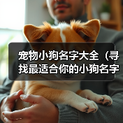 宠物小狗名字大全(寻找最适合你的小狗名字的关键点)(图3) 宠物小狗名字大全(寻找最适合你的小狗名字的关键点)(图3)