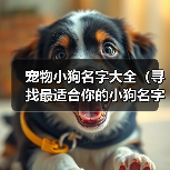宠物小狗名字大全(寻找最适合你的小狗名字的关键点)(图2) 宠物小狗名字大全(寻找最适合你的小狗名字的关键点)(图2)
