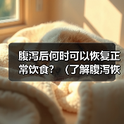 腹泻后何时可以恢复正常饮食?(了解腹泻恢复期间的饮食要注意的关键事项)(图4) 腹泻后何时可以恢复正常饮食?(了解腹泻恢复期间的饮食要注意的关键事项)(图4)