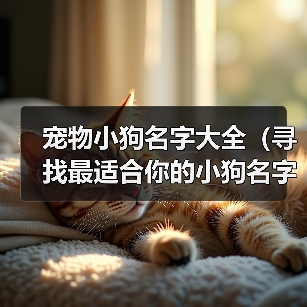 宠物小狗名字大全(寻找最适合你的小狗名字的关键点)(图4) 宠物小狗名字大全(寻找最适合你的小狗名字的关键点)(图4)