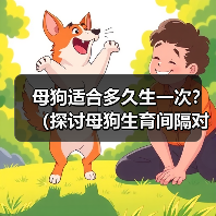 母狗适合多久生一次？（探讨母狗生育间隔对其健康的影响）（图4）