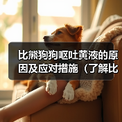 比熊狗狗呕吐黄液的原因及应对措施(了解比熊狗狗呕吐黄液的原因和如何应对,让你的宠物健康无忧)(图1) 比熊狗狗呕吐黄液的原因及应对措施(了解比熊狗狗呕吐黄液的原因和如何应对,让你的宠物健康无忧)(图1)