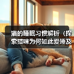 猫的睡眠习惯解析（探索猫咪为何如此爱睡及其对生活的影响）（图1）