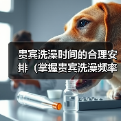 贵宾洗澡时间的合理安排(掌握贵宾洗澡频率,让毛发更健康)(图2) 贵宾洗澡时间的合理安排(掌握贵宾洗澡频率,让毛发更健康)(图2)