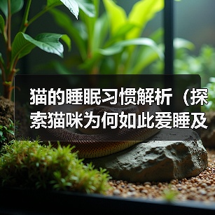 猫的睡眠习惯解析（探索猫咪为何如此爱睡及其对生活的影响）（图2）