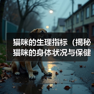 猫咪的生理指标（揭秘猫咪的身体状况与保健秘籍）（图2）