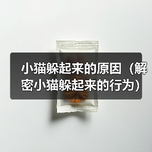 小猫躲起来的原因(解密小猫躲起来的行为)(图3) 小猫躲起来的原因(解密小猫躲起来的行为)(图3)