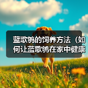 蓝歌鸲的饲养方法（如何让蓝歌鸲在家中健康成长）（图4）