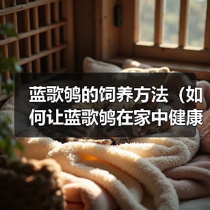 蓝歌鸲的饲养方法（如何让蓝歌鸲在家中健康成长）（图1）