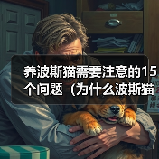 养波斯猫需要注意的15个问题(为什么波斯猫不适合所有人养?-猫)(图1) 养波斯猫需要注意的15个问题(为什么波斯猫不适合所有人养?-猫)(图1)