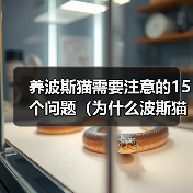 养波斯猫需要注意的15个问题(为什么波斯猫不适合所有人养?-猫)(图4) 养波斯猫需要注意的15个问题(为什么波斯猫不适合所有人养?-猫)(图4)