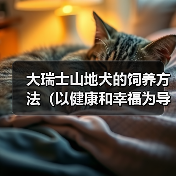 大瑞士山地犬的饲养方法(以健康和幸福为导向的全面指南)(图3) 大瑞士山地犬的饲养方法(以健康和幸福为导向的全面指南)(图3)