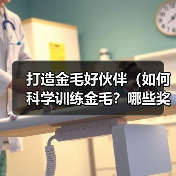 打造金毛好伙伴(如何科学训练金毛?哪些奖励适合金毛?让你的宠物更聪明)(图3) 打造金毛好伙伴(如何科学训练金毛?哪些奖励适合金毛?让你的宠物更聪明)(图3)
