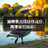 猫粮里出现这些成分,再便宜也别买!(图4) 猫粮里出现这些成分,再便宜也别买!(图4)