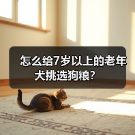 怎么给7岁以上的老年犬挑选狗粮?(图1) 怎么给7岁以上的老年犬挑选狗粮?(图1)