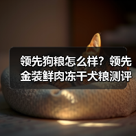 领先狗粮怎么样？领先金装鲜肉冻干犬粮测评（图1）