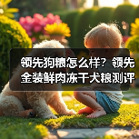 领先狗粮怎么样？领先金装鲜肉冻干犬粮测评（图2）