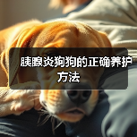 胰腺炎狗狗的正确养护方法(图1) 胰腺炎狗狗的正确养护方法(图1)