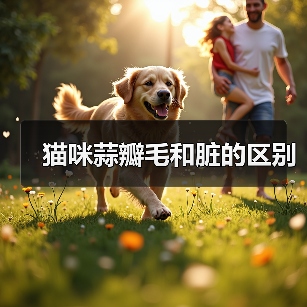 猫咪蒜瓣毛和脏的区别(图1) 猫咪蒜瓣毛和脏的区别(图1)