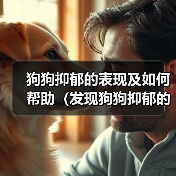 狗狗抑郁的表现及如何帮助(发现狗狗抑郁的重要迹象与关键方法)(图4) 狗狗抑郁的表现及如何帮助(发现狗狗抑郁的重要迹象与关键方法)(图4)